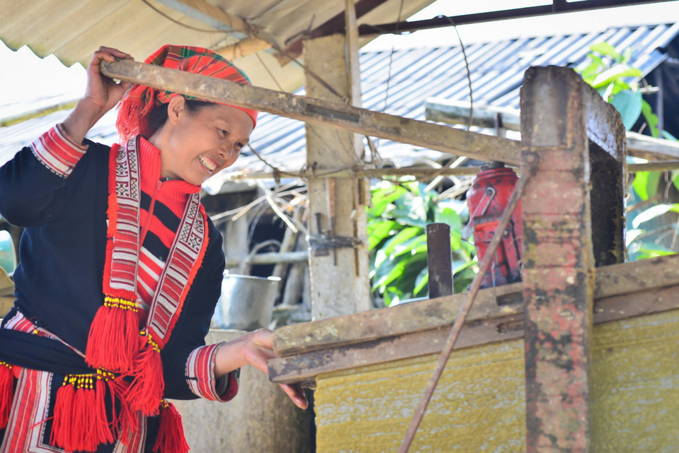  Giấy sau khi được tráng thành nhiều lớp sẽ được ép cho khô, sau đó bóc riêng ra để phơi. (Ảnh: Nam Thái/TTXVN)