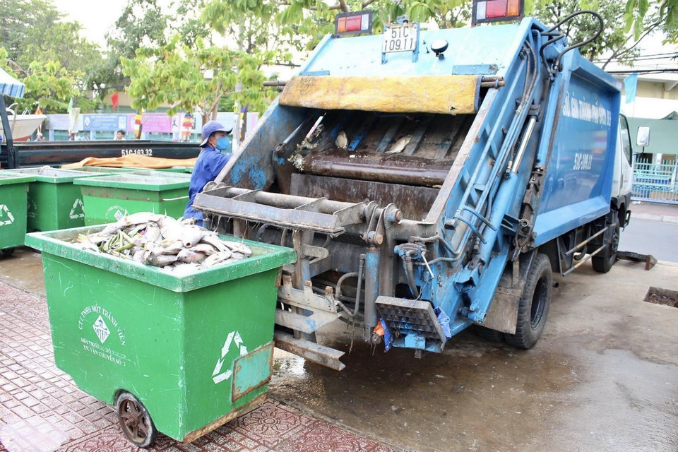 Xác cá được vận chuyển đưa đi tiêu hủy. (Ảnh: Hồng Giang/TTXVN)