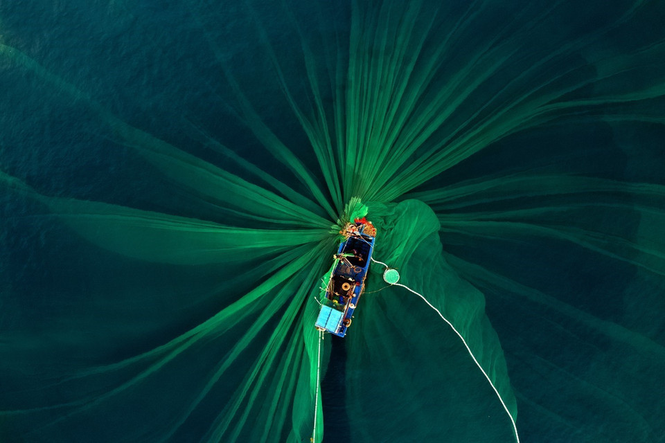 Ngư dân thả lưới vây cá cơm từ sáng sớm nhìn từ trên cao những tấm lưới vây tạo hình trông rất đẹp mắt. (Ảnh: TTXVN phát)