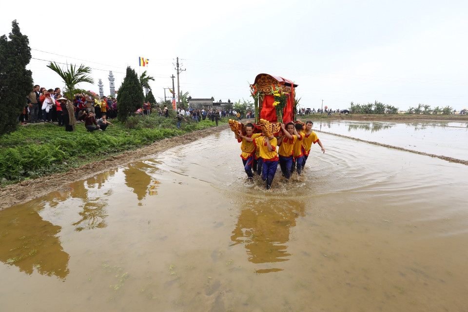 Kiệu quay được dẫn xuống ruộng trước khi về chùa. (Ảnh: Minh Quyết/TTXVN)
