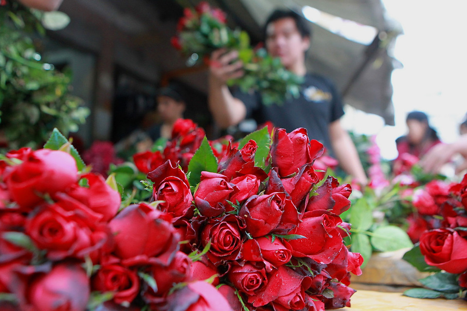 Hoa hồng cho ngày Lễ Tình yêu 14/2 được bày bán tại Manila, Philippines. (Nguồn: THX/TTXVN)