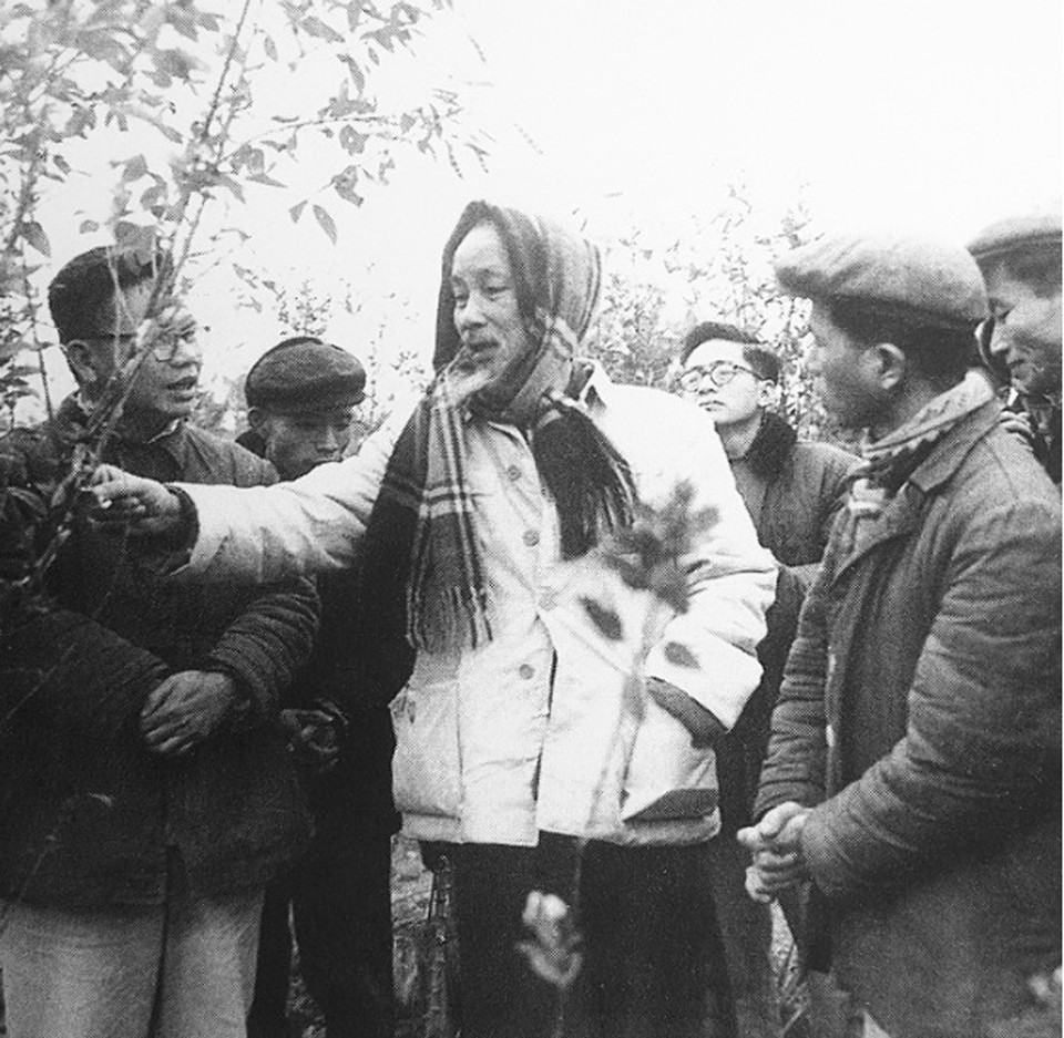 Ngày 26/1/1964, Bác Hồ về thăm xã Vinh Quang (nay là xã Đào Xá, huyện Thanh Thủy) - nơi trồng cây khá nhất miền Bắc sau 5 năm Người phát động Tết trồng cây. (Ảnh: TTXVN phát)