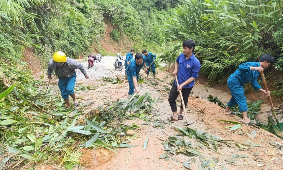 Một số tuyến đường liên xã bị sạt lở nhẹ và cây ngã đổ đã được lực lượng xung kích dọn dẹp, đảm bảo giao thông thông suốt. (Ảnh: Ngọc Nga/TTXVN phát)