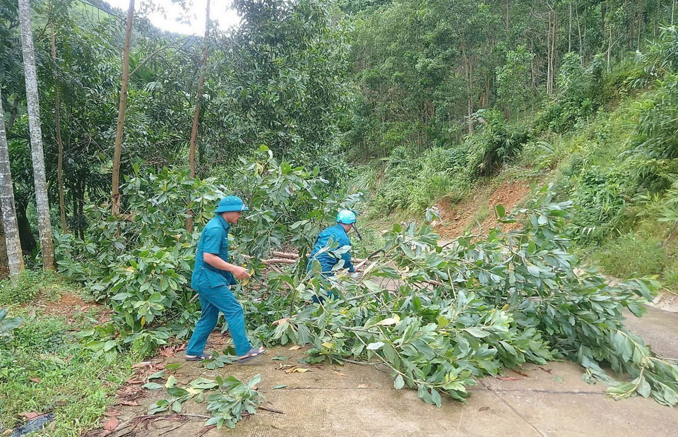 Một số tuyến đường liên xã bị sạt lở nhẹ và cây ngã đổ đã được lực lượng xung kích dọn dẹp, đảm bảo giao thông thông suốt. (Ảnh: Ngọc Nga/TTXVN phát)