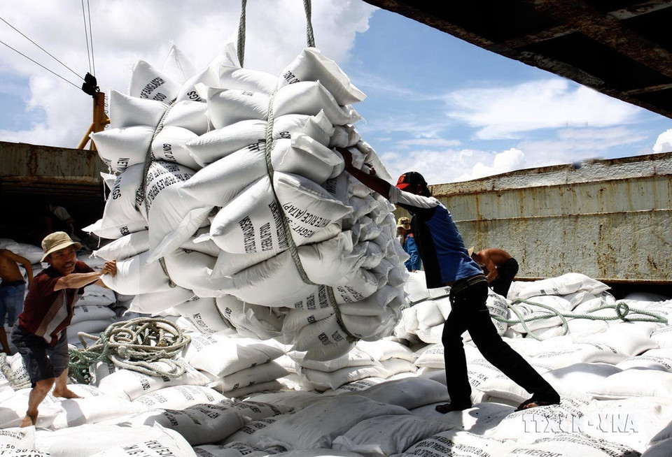 Bốc xếp gạo xuất khẩu sang thị trường Malaysia tại Cảng Sài Gòn. Ảnh: Đình Huệ - TTXVN