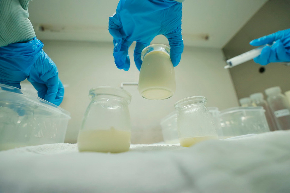 Sữa mẹ được xử lý, lưu trữ, và phân phối theo một quy trình nghiêm ngặt nhằm đảm bảo cung cấp sữa hiến tặng an toàn, đạt chất lượng cao, và đáp ứng nhu cầu của trẻ sơ sinh có nguy cơ bị suy dinh dưỡng hoặc nhiễm trùng. (Ảnh: Minh Quyết/TTXVN)