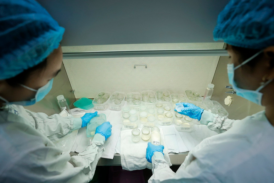 Sữa mẹ được xử lý, lưu trữ, và phân phối theo một quy trình nghiêm ngặt nhằm đảm bảo cung cấp sữa hiến tặng an toàn, đạt chất lượng cao. (Ảnh: Minh Quyết/TTXVN)