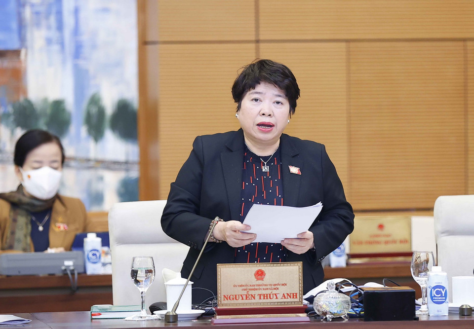 Chủ nhiệm Ủy ban Xã hội của Quốc hội Nguyễn Thúy Anh trình bày báo cáo. (Ảnh: Doãn Tấn/TTXVN)