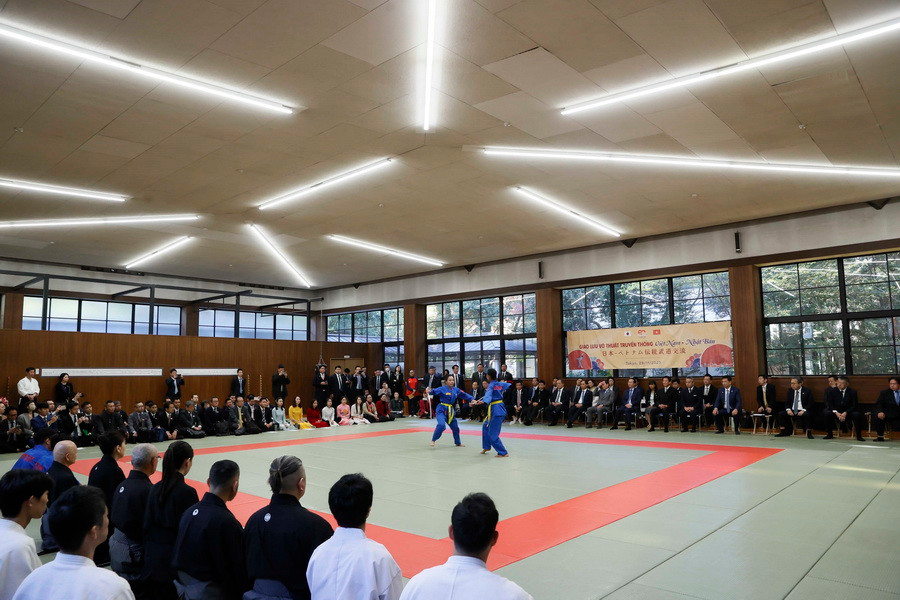 Màn biểu diễn võ Vovinam tại buổi giao lưu võ thuật Việt Nam-Nhật Bản. (Ảnh: Thống Nhất/TTXVN)