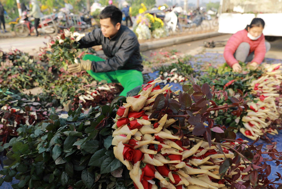 Thị trường hoa Tết năm nay vẫn là những loại hoa truyền thống. (Ảnh: Vũ Sinh/TTXVN)