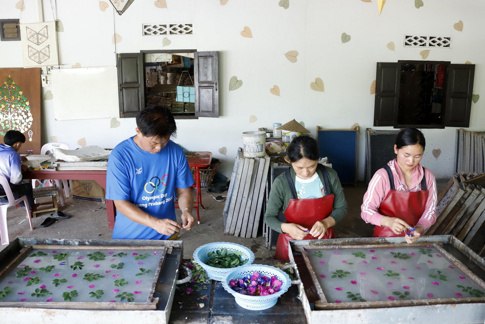 Sản xuất giấy Saa tại bản Xienglek, tỉnh Luang Prabang của Lào. (Ảnh: Phạm Kiên/TTXVN)