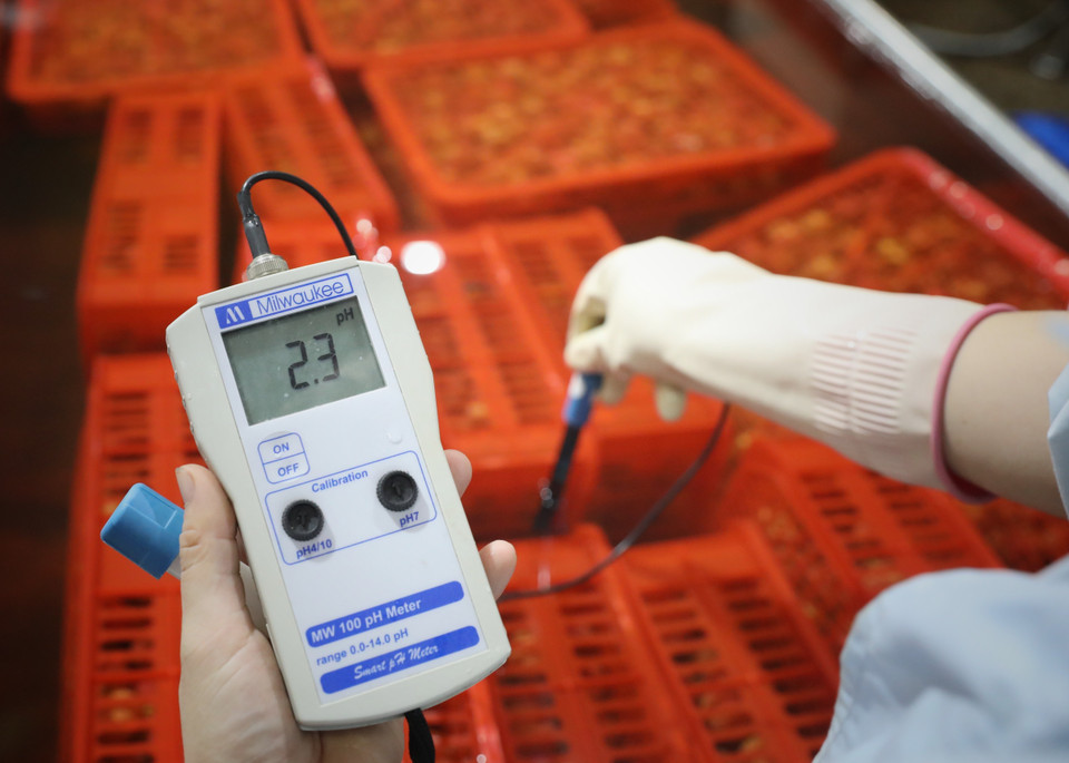 Đo độ PH của nước sau khi vải được rửa sạch bằng nước đá tại Công ty CP Xuất nhập khẩu Thực phẩm Toàn Cầu, huyện Lục Ngạn (Bắc Giang). (Ảnh: Danh Lam/TTXVN)