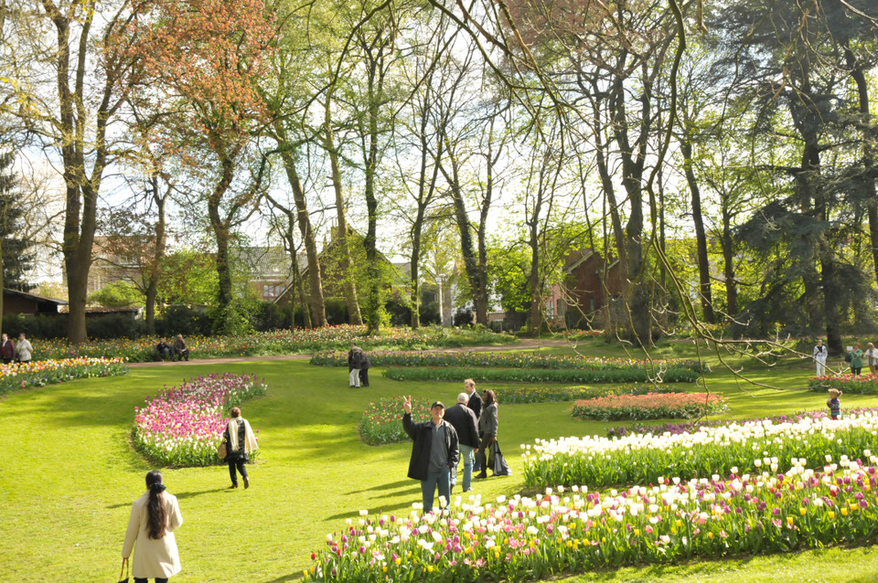 Hoa mọc khắp nơi trong khuôn viên tòa lâu đài cổ. (Ảnh: Hương Giang/Vietnam+)