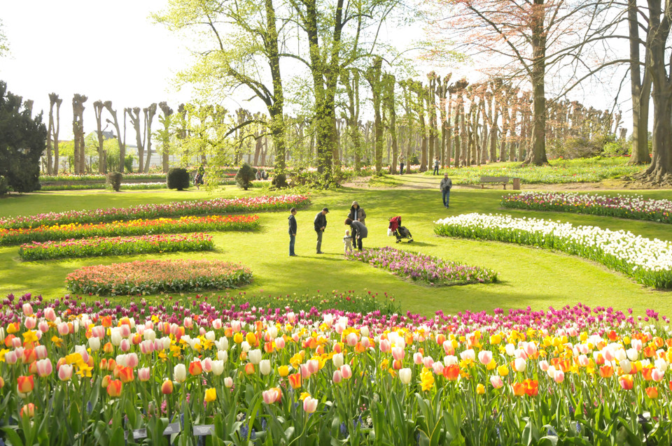 Thảm hoa rực rỡ sắc màu. (Ảnh: Hương Giang/Vietnam+)