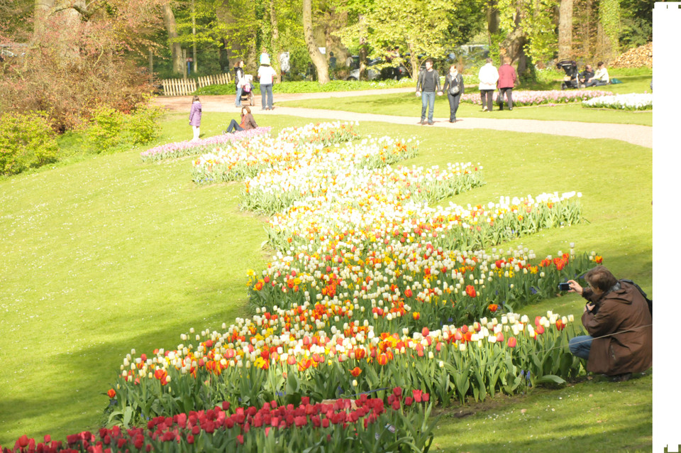 Không ai có thể cưỡng lại vẻ đẹp của hoa. (Ảnh: Hương Giang/Vietnam+)