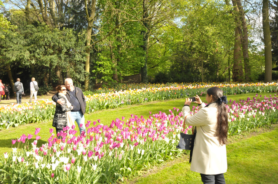 Du khách tranh thủ chụp vài kiểu ảnh kỷ niệm bên bức tranh hoa. (Ảnh: Hương Giang/Vietnam+)