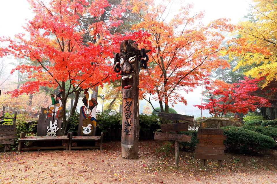  Phong cảnh trên đảo Nami. (Ảnh: Anh Nguyên/Vietnam+)