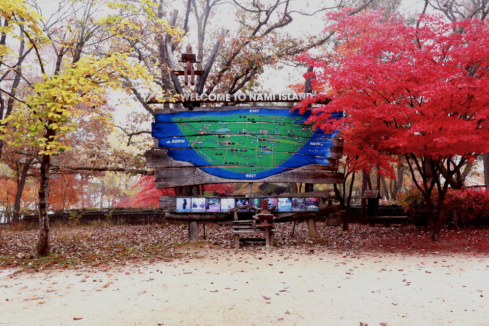 Đảo Nami vào thu. (Ảnh: Anh Nguyên/Vietnam+)