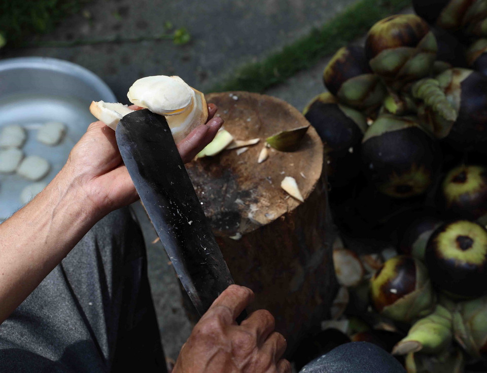 Cơm thốt nốt (cùi) dùng để ăn cùng với nước lấy từ vòi hoa thốt nốt là món giải khát rất tốt và bổ dưỡng. (Ảnh: Vũ Sinh/TTXVN)
