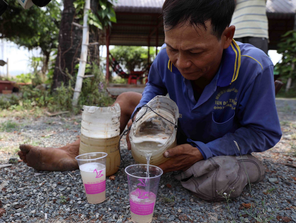  Nước thốt nốt không lấy từ trái, mà được thu hoạch từ vòi hoa trên cây. Nước có vị ngọt dịu nhẹ, ăn kèm múi thốt nốt màu trắng đục, thơm dẻo, có vị béo, không cần cho thêm đường, đá vẫn tạo cảm giác mát lành, là món giải khát rất tốt và bổ dưỡng. (Ảnh: Vũ Sinh/TTXVN)