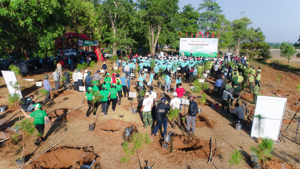Toàn cảnh buổi lễ phát động trồng cây xanh “Giấc mơ đại ngàn” vì một Việt Nam Xanh. (Ảnh: Hoàng Đạt/Vietnam+)