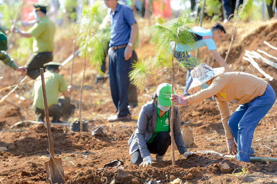 Nhiều người dân trong khu vực cũng hăng hái tham gia buổi lễ. (Ảnh: Lâm Phan/Vietnam+)