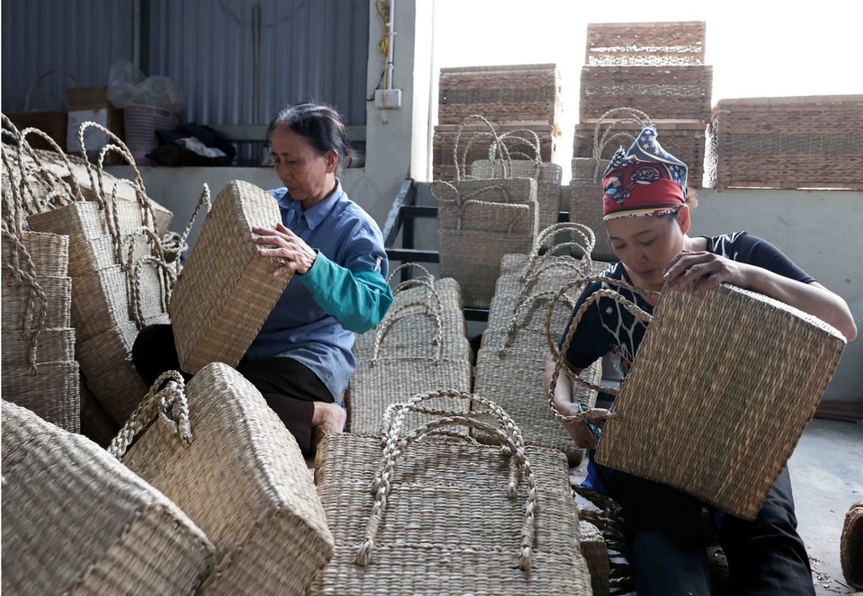 Sản phẩm xưa kia của Làng chủ yếu từ cỏ tế (cây guột), sau đó phát triển làm từ các nguyên liệu khác, như tre, trúc, bẹ ngô, bẹ chuối, bèo…, vừa đáp ứng nhu cầu trong nước, vừa được xuất khẩu sang nhiều thị trường trên thế giới.