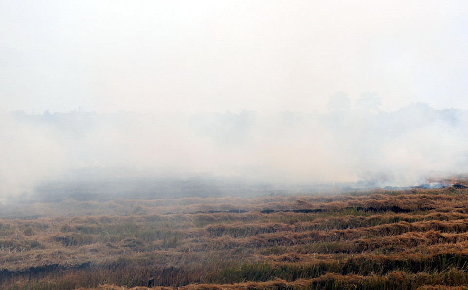 Người dân đốt rơm rạ ngay tại ruộng, gây khói mịt mù. (Ảnh: Vũ Quang/TTXVN)
