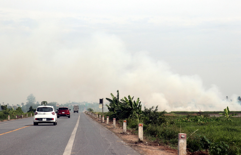 Do không có nhu cầu sử dụng nên tại một số địa phương người dân đốt rơm, rạ ngay tại ruộng gây khói. Việc này làm ảnh hưởng đến môi trường và nguy cơ mất an toàn giao thông tại một số tuyến đường. (Ảnh: Vũ Quang/TTXVN)
