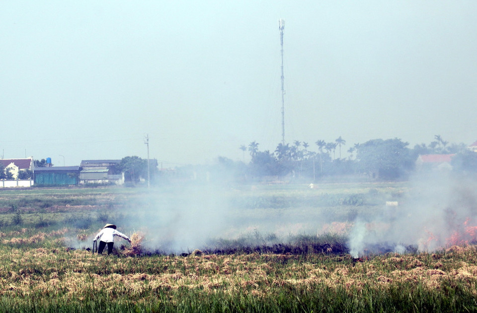 Người dân xã Đông La, huyện Đông Hưng (Thái Bình) đốt rơm rạ ngay tại ruộng. (Ảnh: Vũ Quang/TTXVN)