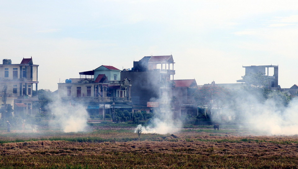 Người dân đốt rơm rạ ngay tại ruộng, gây khói mịt mù. (Ảnh: Vũ Quang/TTXVN)