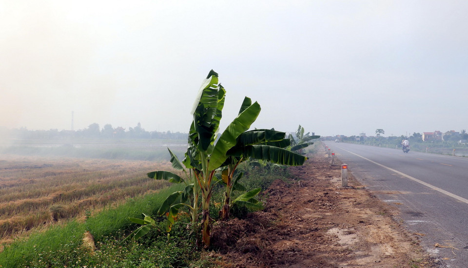 Tuyến đường tránh thị trấn Đông Hưng, huyện Đông Hưng (Thái Bình) bị khói bủa vây, ảnh hưởng tầm nhìn người tham gia giao thông. (Ảnh: Vũ Quang/TTXVN)