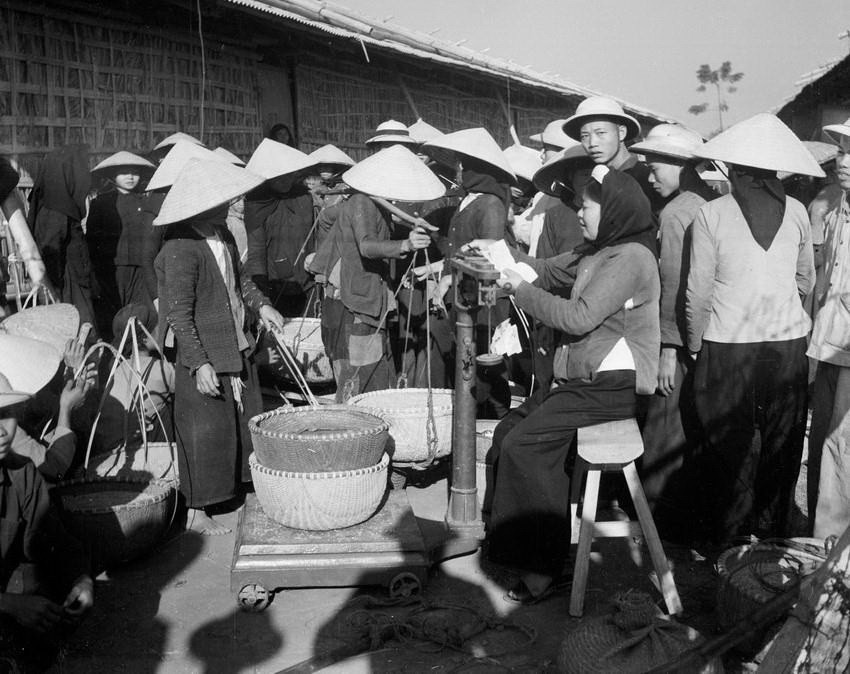 Nông dân vùng Ninh Giang, tỉnh Hải Dương mang thóc đến bán cho Chính phủ vào tháng 11/1958. (Ảnh: Đức Như/TTXVN)