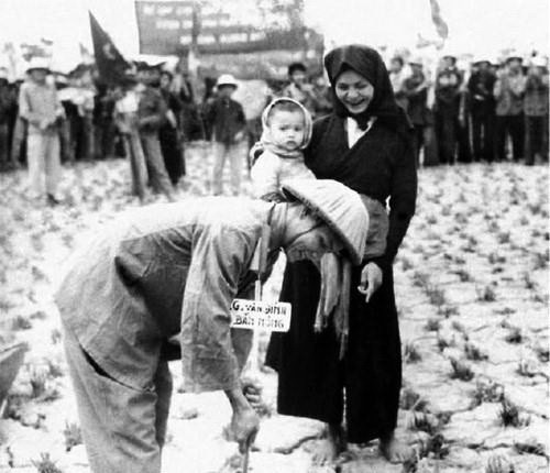 Cải cách ruộng đất hoàn thành thắng lợi vào năm 1957, vĩnh viễn thủ tiêu chế độ chiếm hữu ruộng đất của giai cấp địa chủ phong kiến và xác lập chế độ sở hữu ruộng đất của nông dân. Thắng lợi của cải cách ruộng đất là thắng lợi to lớn và căn bản, làm thay đổi bộ mặt nông thôn miền Bắc, đem lại niềm phấn khởi trong nông dân, có tác dụng rất lớn trong việc đẩy mạnh sản xuất, khôi phục kinh tế, hàn gắn vết thương chiến tranh. (Ảnh: Tư liệu/TTXVN phát)