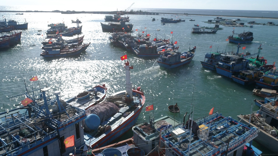  Quốc kỳ đỏ tươi trên những con tàu tại cảng cá. (Ảnh: Tùng Lâm/Vietnam+)