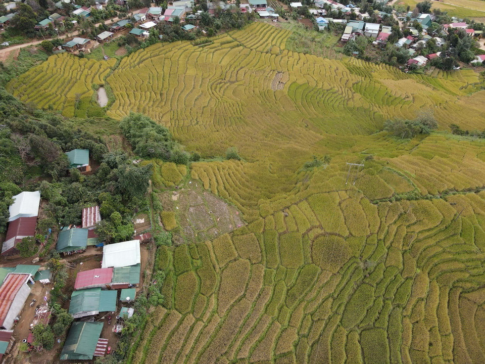 Ruộng lúa bậc thang tại thung lũng Măng Ri, huyện Tu Mơ Rông, tỉnh Kon Tum. (Ảnh: Dư Toán/TTXVN)