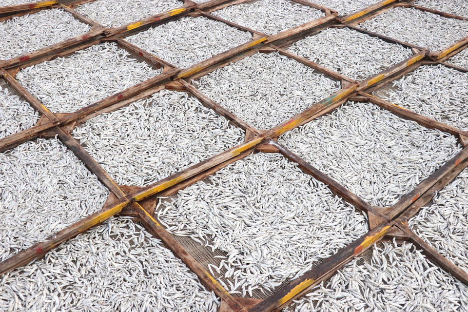 Mỗi năm, làng nghề chế biến khoảng gần 20.000 tấn cá biển cung ứng cho thị trường. (Ảnh: Nguyên Lý/TTXVN)