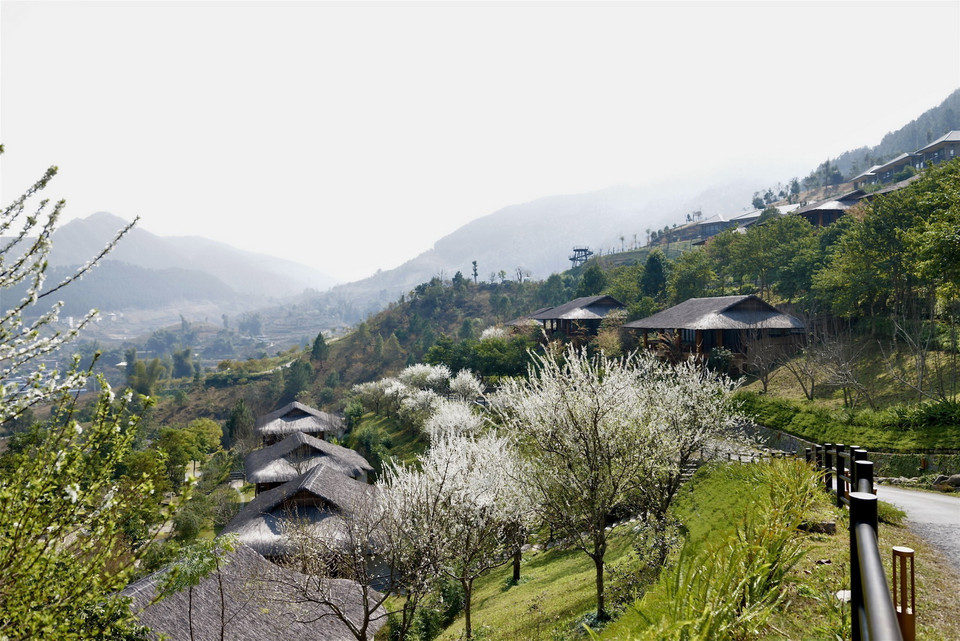 Sắc trắng hoa mận trải dài khắp các thung lũng, ngọn đồi, từ chân núi đến các bản làng, hiên nhà... (Ảnh: Tuấn Anh/TTXVN)