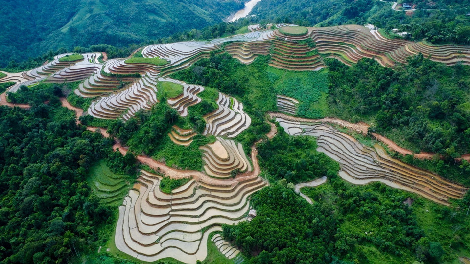  Những khoanh ruộng bậc thang được đổ đầy ắp nước. (Ảnh: Nam Thái/TTXVN)