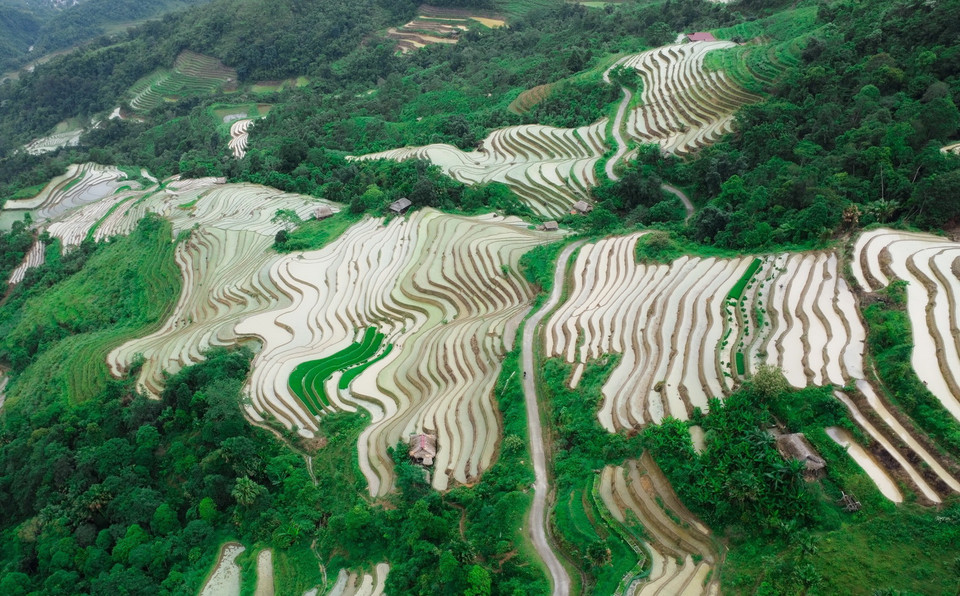  Những khoanh ruộng bậc thang được đổ đầy ắp nước như những tấm gương phản chiếu đất trời. (Ảnh: Nam Thái/TTXVN)