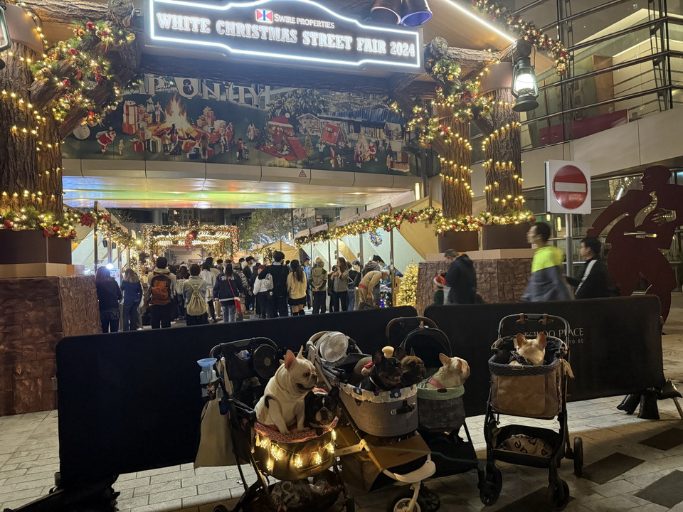 Thú cưng được đưa đi dạo tại Hội chợ đường phố Giáng sinh Trắng 2024. (Ảnh: Mạc Luyện/TTXVN)