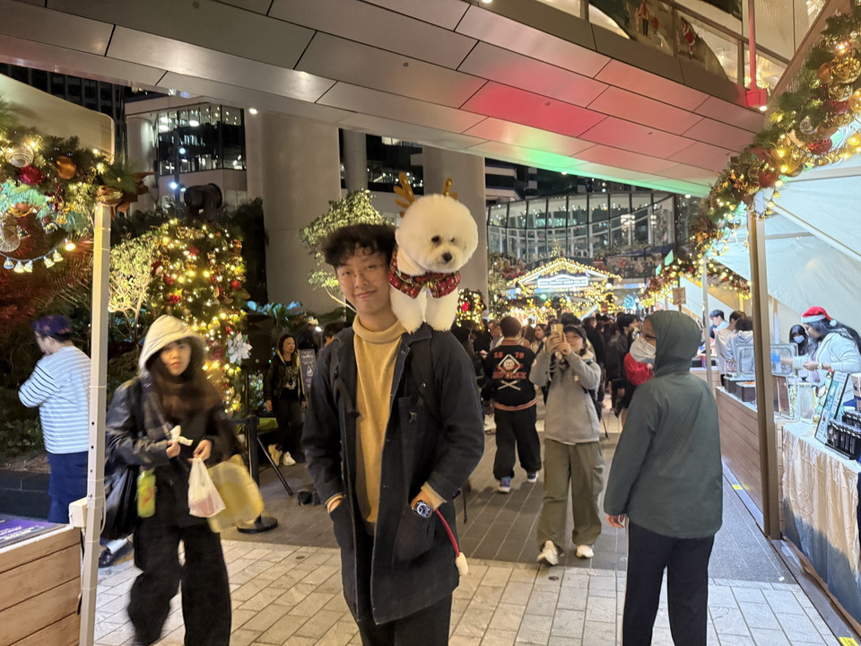 Thú cưng được đưa đi dạo tại Hội chợ đường phố Giáng sinh Trắng 2024. (Ảnh: Mạc Luyện/TTXVN)