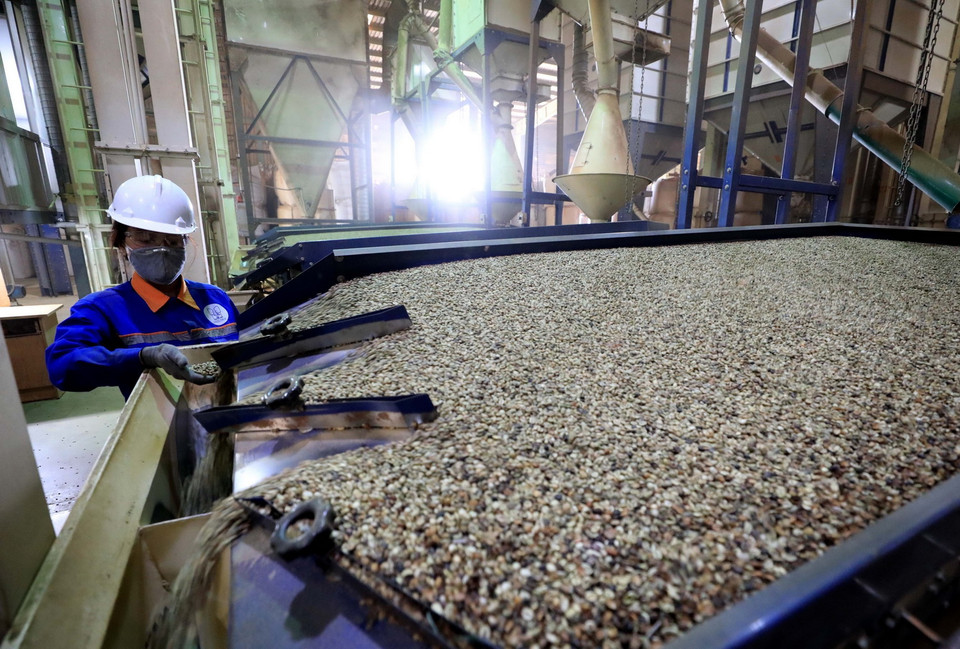 Thương hiệu Simexco của Công ty TNHH MTV Xuất nhập khẩu 2-9 Đắk Lắk đã được bảo hộ tại thị trường Mỹ qua USPTO-Văn phòng Sáng chế và Nhãn hiệu Hoa Kỳ. (Ảnh: Nhật Anh/TTXVN)