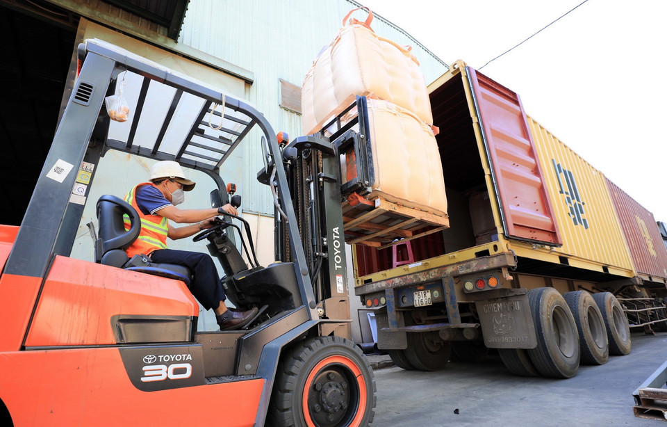 Một chuyến hàng được đóng container trực tiếp để xuất khẩu sang Mỹ của công ty TNHH MTV Xuất nhập khẩu 2-9 Đắk Lắk. (Ảnh: Nhật Anh/TTXVN)