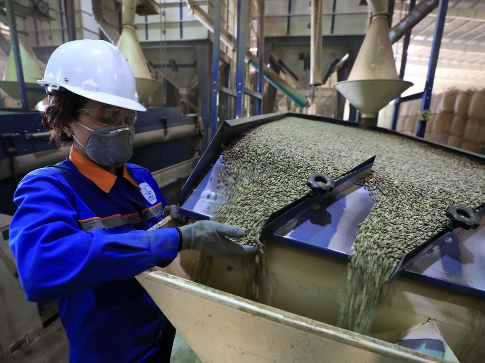 Công ty TNHH MTV Xuất nhập khẩu 2-9 Đắk Lắk luôn dẫn đầu xuất khẩu càphê nhân với thương hiệu Simexco. (Ảnh: Nhật Anh/TTXVN)