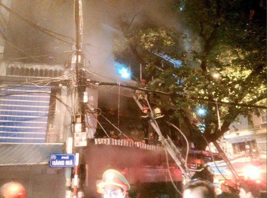 (Ảnh: CTV/Vietnam+)