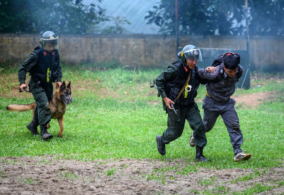 Dù nhiều lần thay đổi về cơ cấu, chức năng nhiệm vụ, lực lượng quản lý, huấn luyện và sử dụng động vật nghiệp vụ vẫn luôn phát huy truyền thống tốt đẹp, vượt qua mọi khó khăn, gian khổ để hoàn thành xuất sắc nhiệm vụ chính trị được giao; góp phần quan trọng trong công tác đấu tranh phòng ,chống tội phạm, đảm bảo an ninh quốc gia, giữ gìn trật tự an toàn xã hội, mang lại bình yên, hạnh phúc cho nhân dân. (Ảnh: Phạm Kiên/TTXVN)