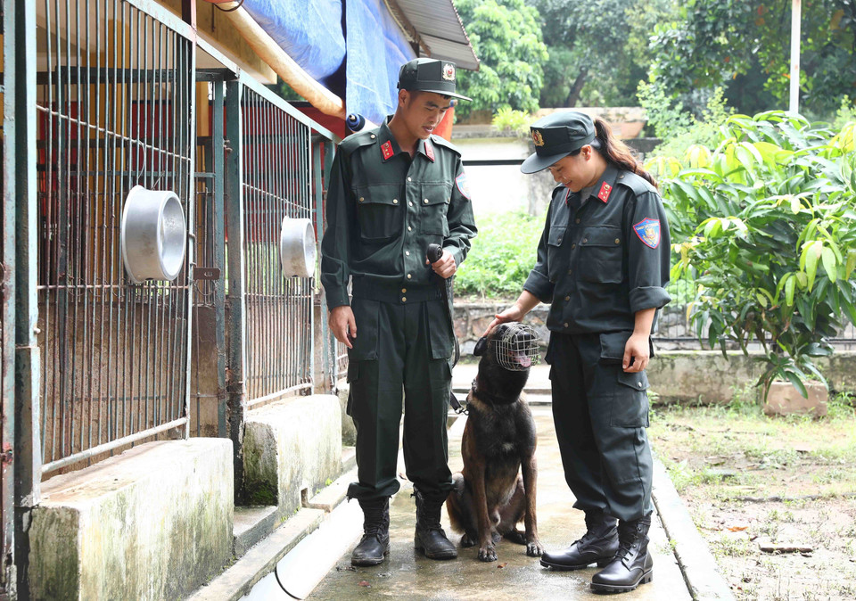 Cán bộ, chiến sỹ cảnh sát cơ động luôn quan tâm, chăm sóc đặc biệt cho nhũng chú chó nghiệp vụ. (Ảnh: Phạm Kiên/TTXVN)