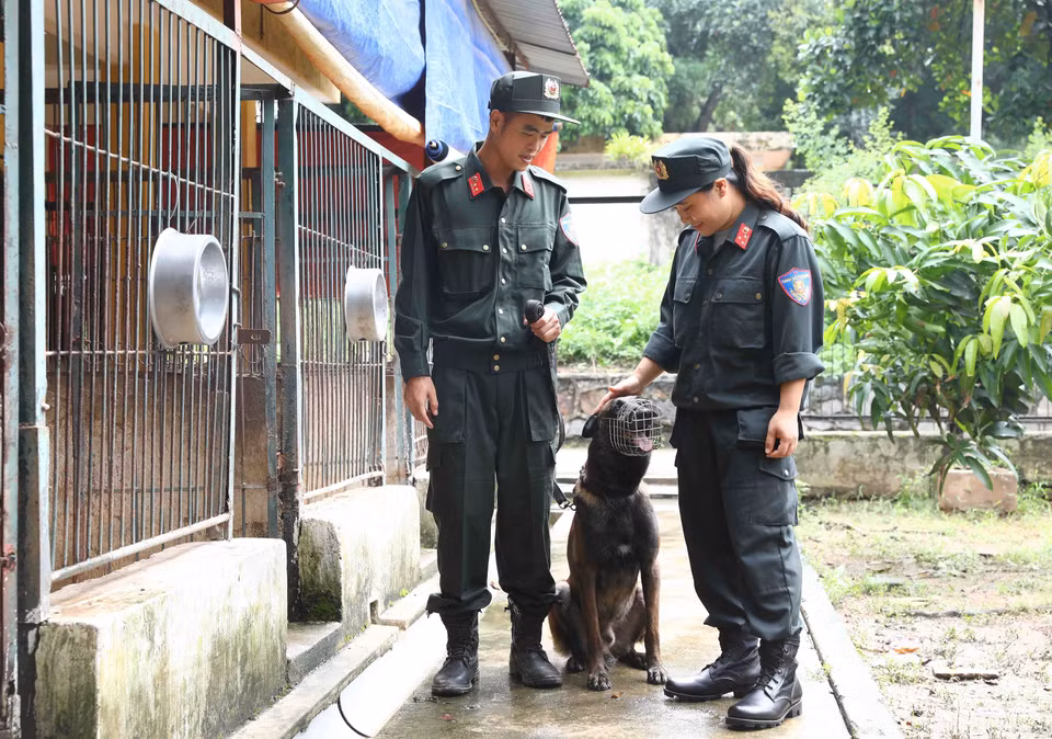 Cán bộ, chiến sỹ cảnh sát cơ động luôn quan tâm, chăm sóc đặc biệt cho nhũng chú chó nghiệp vụ. (Ảnh: Phạm Kiên/TTXVN)