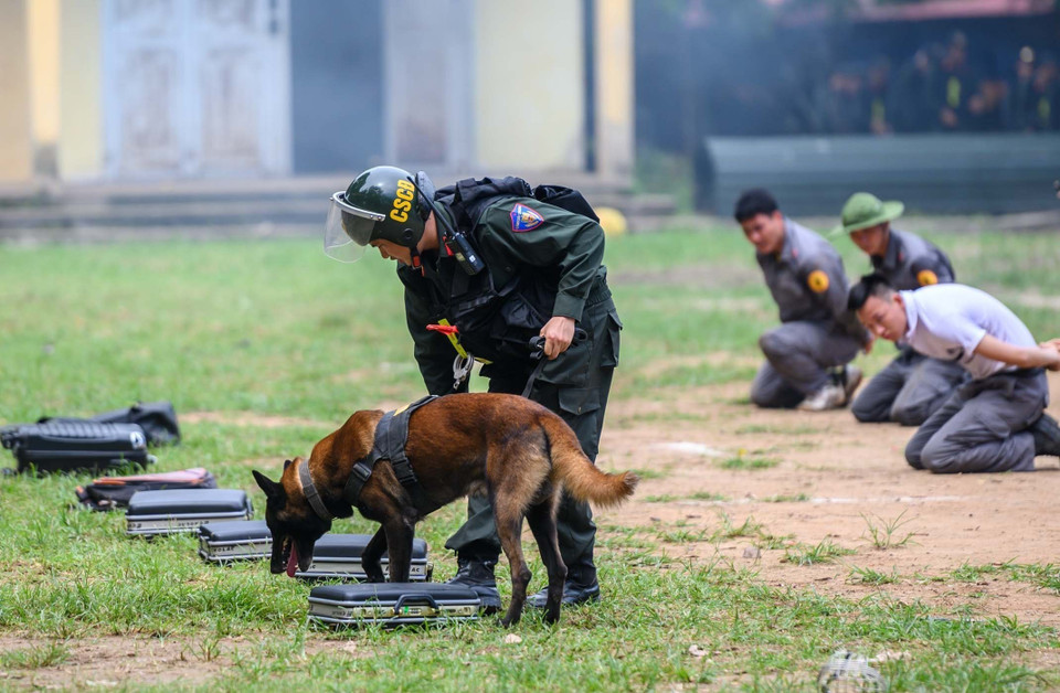Chó nghiệp vụ đánh hơi tìm ma túy trong bài diễn tập phát hiện nhóm tội phạm đi ôtô, sử dụng súng quân dụng vận chuyển chất ma túy. (Ảnh: Phạm Kiên/TTXVN)